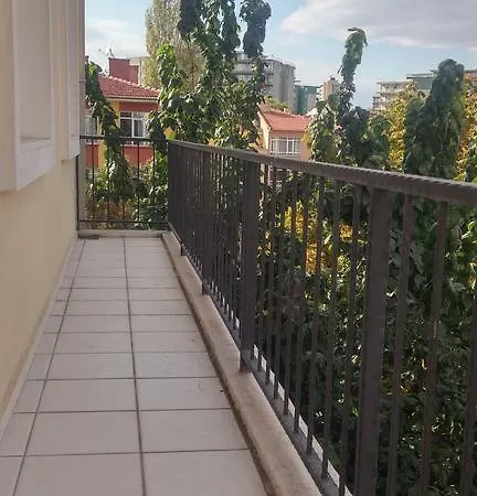 Hostel Palace